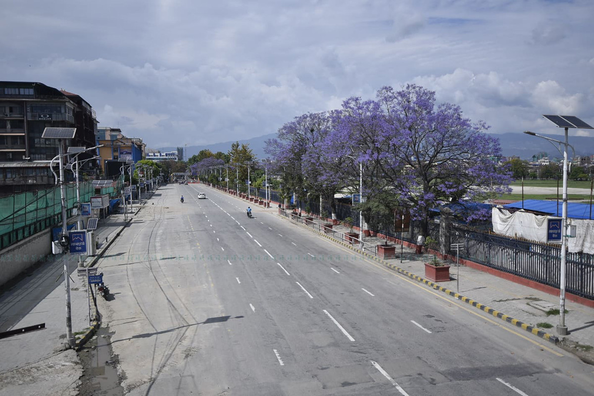 https://raracms.setopati.com/uploads/shares/2020/sujita/jacaranda/jacarranda (1).jpg